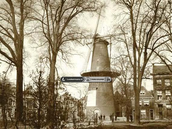 De Hoop