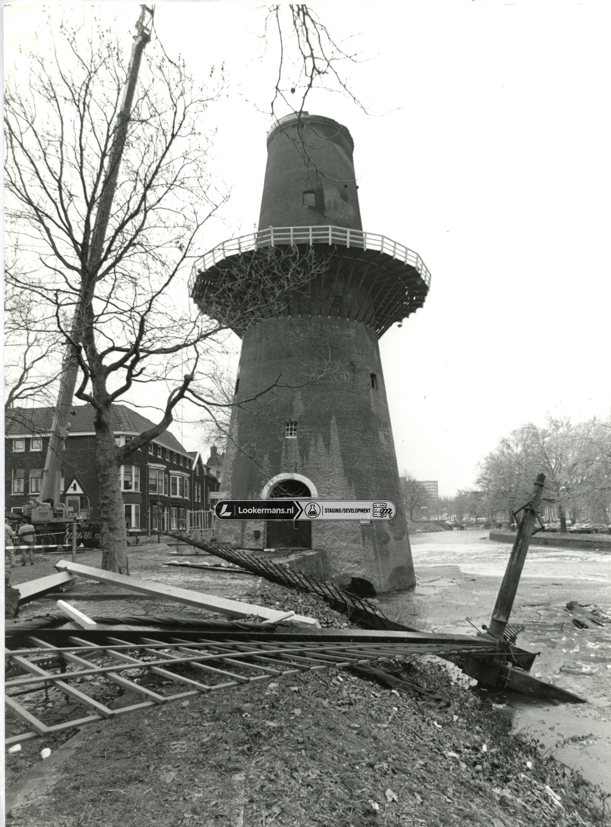Walvisch